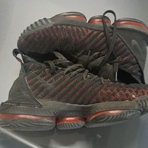 Lebron 16 fresh bred